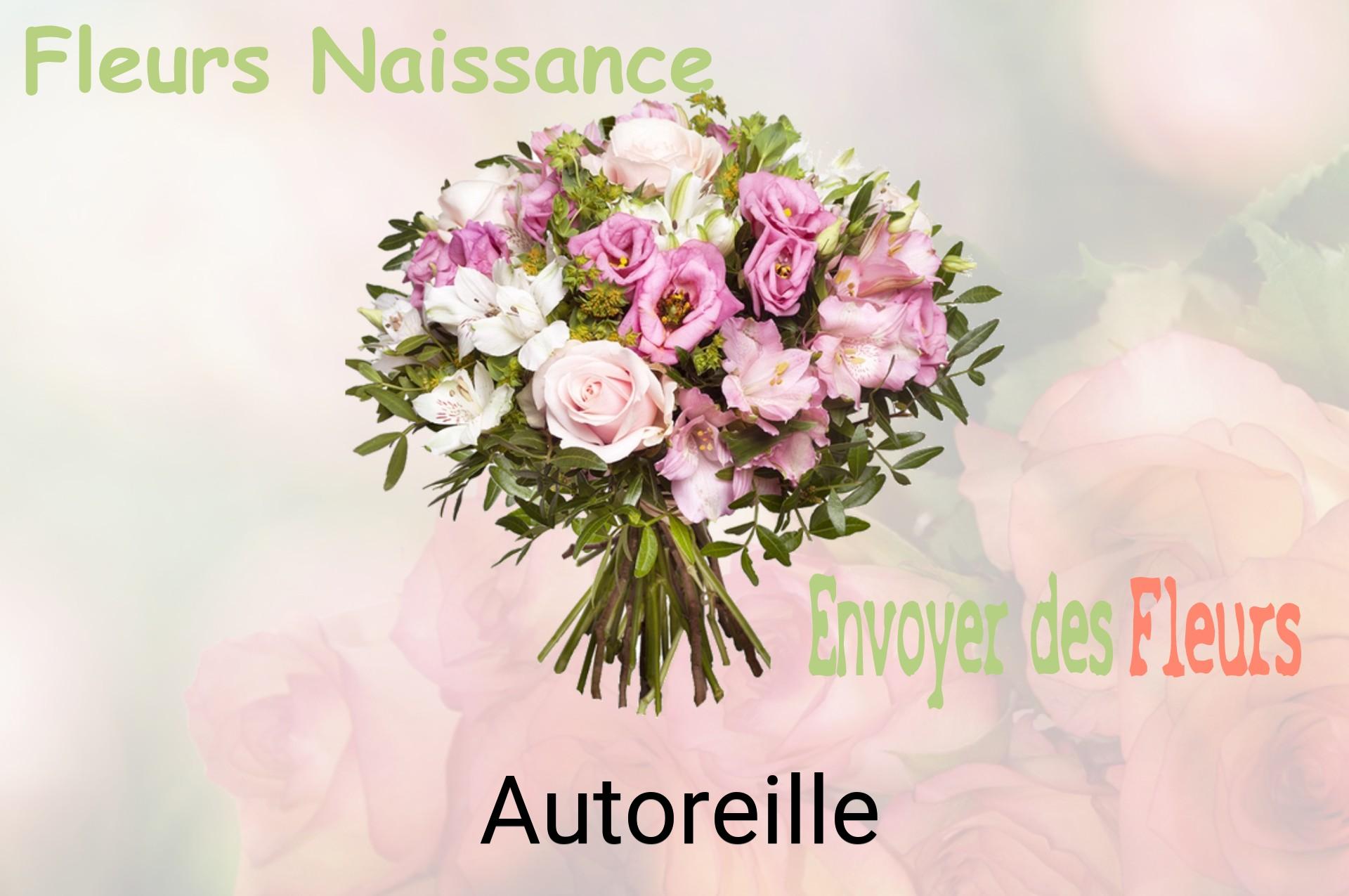 Bouquet de fleurs de naissance livré à Autoreille